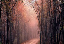 [图]坎宁安被驱逐雷霆险胜活塞 亚历山大48+6.