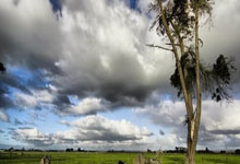 广东112-92大胜宁波，赛后迎来3喜1忧，贝兹利+胡明轩证明自己.