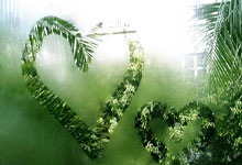 【原创】今日竞彩足球比赛推荐：周六020英足总杯 诺丁汉VS卢顿.