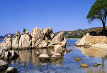 全球媒体聚焦 ｜ 英媒：中国仍是全球最具投资价值的国家之一.